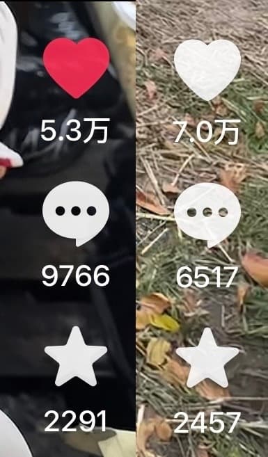 Short-video platform stats screenshot